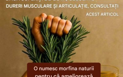 Utilizări ale rozmarinului despre care nu știai