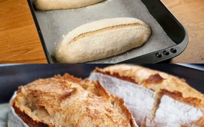 Pâine de grâu integrală