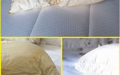 AcasăIată cum să curățați pernele murdare din pat pentru a le lăsa albe și cu un miros dulce… Iată cum să curățați pernele murdare din pat pentru a le lăsa albe și cu un miros dulce…