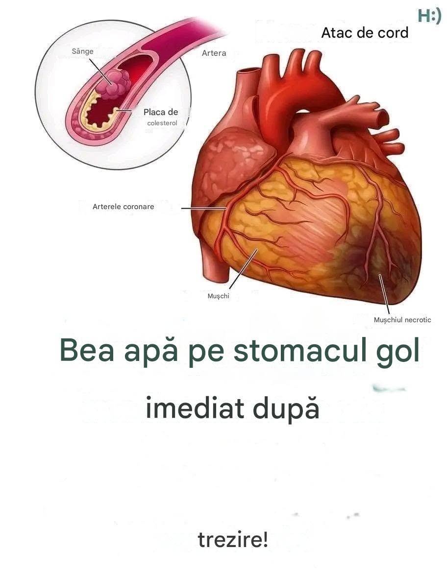 Știați că consumul de apă pe stomacul gol poate fi… vezi mai mult