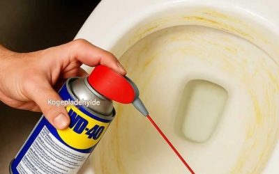 Majoritatea oamenilor nu știu. 12 moduri ingenioase de a folosi WD-40 în casă.