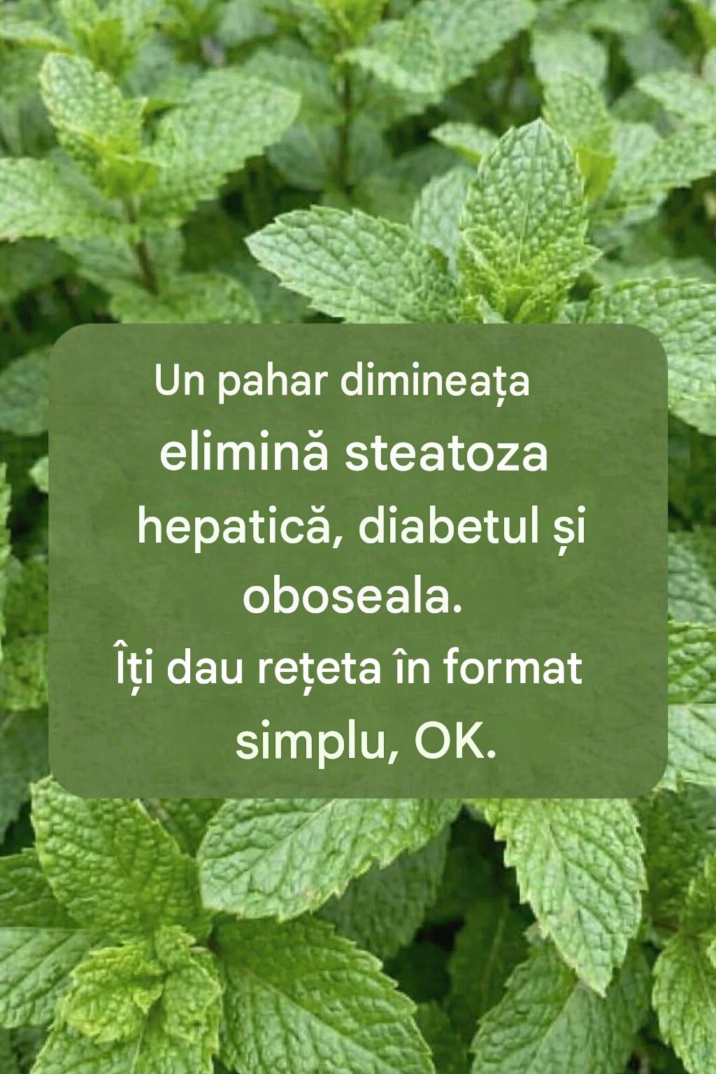 Suc de mentă cu lămâie: beneficii, utilizări și cum să fie preparat corect