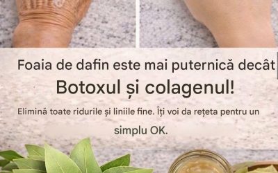 Frunza de dafin: de un milion de ori mai puternică decât Botoxul sau colagenul? Netezi ridurile și liniile fine în mod natural👇💬