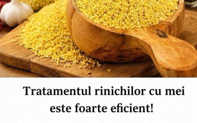 Tratamentul rinichilor cu mei este foarte eficient! Meiul ajută la eliminarea pietrelor și nisipului din rinichi și vezica urinară, ajută în caz de cistită și este folosit în remedii populare pentru unele probleme feminine. Detalii în primul comentariu