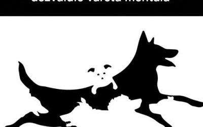Câți câini vezi? Această imagine virală pretinde că îți dezvăluie vârsta mentală. Află răspunsul în comentarii. ⬇