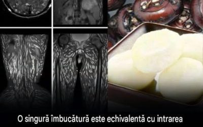 A mânca o singură îmbucătură este deja dăunător, dar mulți încă o mănâncă fără să-și facă griji A mânca o singură îmbucătură este deja dăunător, dar mulți încă o mănâncă fără să-și facă griji