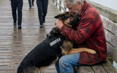 Poliția a ordonat unui K9 să atace un veteran în vârstă — dar reacția câinelui i-a șocat pe toți și a schimbat totul.