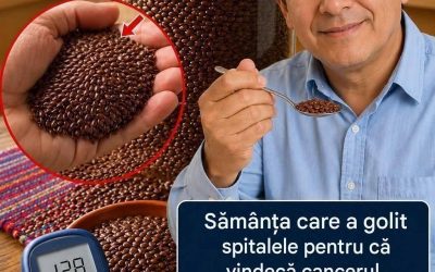 Sămânța miraculoasă  ……(Scrieți „OK” mai jos dacă doriți să continuați și vi-l voi trimite imediat)
