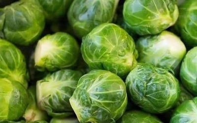 Sincer, mănâncă cineva aici cu adevărat varză de Bruxelles?