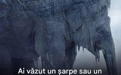 Șarpe sau elefant? Răspunsul tău s-ar putea să te surprindă 🐍🐘