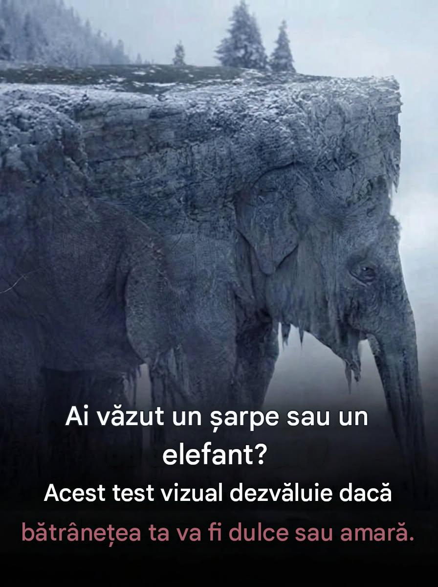 Șarpe sau elefant? Răspunsul tău s-ar putea să te surprindă 🐍🐘