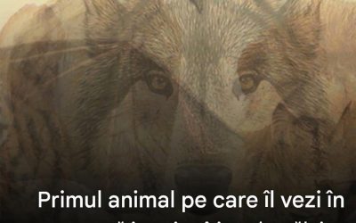 Primul animal pe care îl vezi în această imagine îți va dezvălui cine ești cu adevărat. Află care este în primul comentariu 👀
