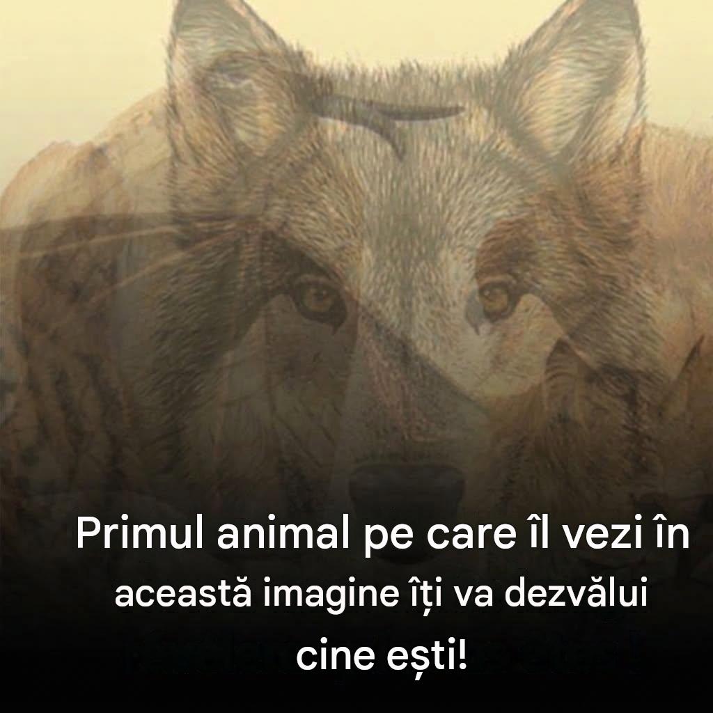 Primul animal pe care îl vezi în această imagine îți va dezvălui cine ești cu adevărat. Află care este în primul comentariu 👀