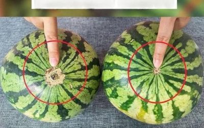 Fără pepeni verzi fade! Iată un ghid vizual sigur pentru a găsi cele mai dulci fructe din piață.