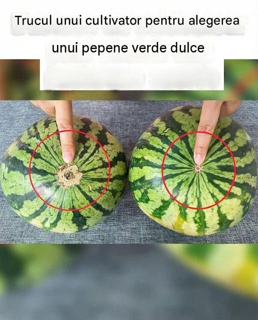 Fără pepeni verzi fade! Iată un ghid vizual sigur pentru a găsi cele mai dulci fructe din piață.