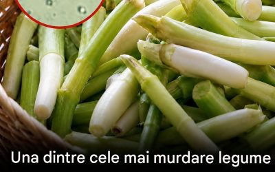 Leguma cea mai probabilă să conțină paraziți este și una pe care mulți oameni adoră să o mănânce crudă 👇